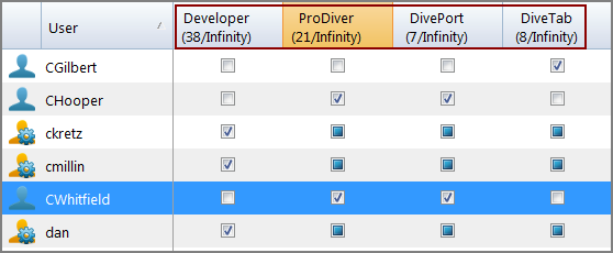 Help Desk License Infinity Example